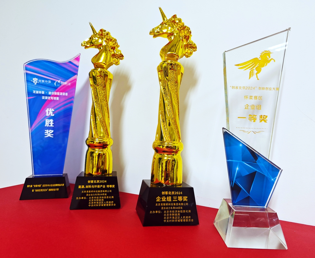 ˹ؿƼųȻ춯EGRϵͳĿͱ2024չǿΧ й2024 